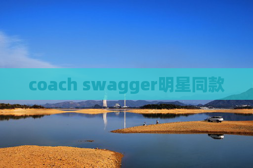 coach swagger明星同款
