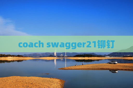 coach swagger21铆钉